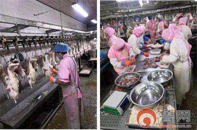 德州禹城市倫鎮(zhèn) “四個(gè)強(qiáng)化”筑牢餐飲安全防線，守護(hù)群眾“舌尖上的安全”